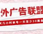 外面收费1980的最新国外LEAD广告联盟搬砖项目，单号一天至少30美金【详细玩法教程】-无痕资源库