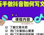 新手做抖音如何写文案，手把手实操如何拆解热门文案-无痕资源库