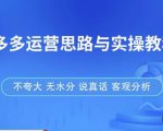 拼多多店铺运营思路与实操教程，快速学会拼多多开店和运营，少踩坑，多盈利-无痕资源库