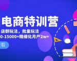美团电商特训营：美团·店群玩法，无脑铺货月产出6000-15000+精细化月产2w+-无痕资源库