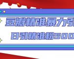 豆瓣精准暴力引流，日引精准粉500+【12课时】-无痕资源库