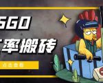 外面9800的CSGO汇率搬砖项目，一个月轻松赚几千【选品软件+详细教程】-无痕资源库