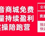 抖音商城搜索持续盈利陪跑成长营，抖音商城搜索从0-1、从1到10的全面解决方案-无痕资源库