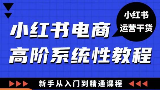 小红书电商高阶系统教程，新手从入门到精通系统课-无痕资源库