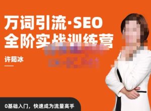 许茹冰·万词引流-SEO全阶实战训练营,0基础入门,快速成为流量高手-无痕资源库
