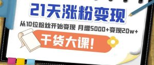 21天精准涨粉变现干货大课：从10位粉丝开始变现月增5000+变现20w+-无痕资源库