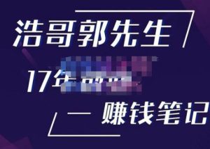 浩哥郭先生17年创业赚米笔记,打开你对很多东西的认知,让你知道原来赚钱或创业不单单是发力就行-无痕资源库