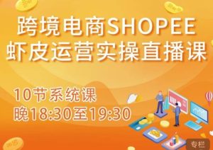 跨境电商Shopee虾皮运营实操直播课,从零开始学,入门到精通(10节系统课)-无痕资源库