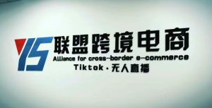 YS联盟·Tiktok无人直播，不出镜不剪辑不拍摄不发货无售后的跨境短视频躺赚玩法-无痕资源库