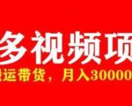 多多带货视频快速50爆款拿带货资格，搬运带货，月入30000【全套脚本+详细玩法】-无痕资源库