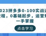 2023拼多多0-100实战运营教程，0基础起步，运营知识一手掌握-无痕资源库