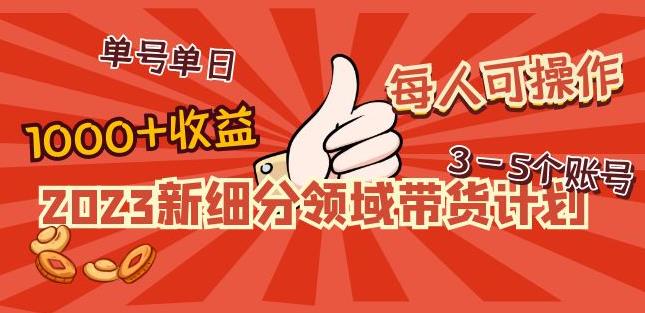 2023新细分领域带货计划：单号单日1000+收益不难，每人可操作3-5个账号-无痕资源库