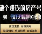 刘广标·同城房产号线上陪跑课，拍摄、剪辑、写文案、直播，做一个具有潜力价值的房产号-无痕资源库