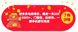 2023拼多多电商项目，稳定一天300～3000+，门槛低，出单快，一部手机即可完成-无痕资源库