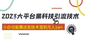 大平台黑科技引流技术，小白也能靠这些技术混到月入1w+(2022年的课程）-无痕资源库