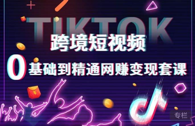 跨境短视频TIKTOK 0基础到精通网赚变现套课，跨境短视频独立站带货变现技巧-无痕资源库