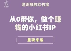 谢无敌·小红书运营大宝典，从0带你做个赚钱的小红书IP-无痕资源库