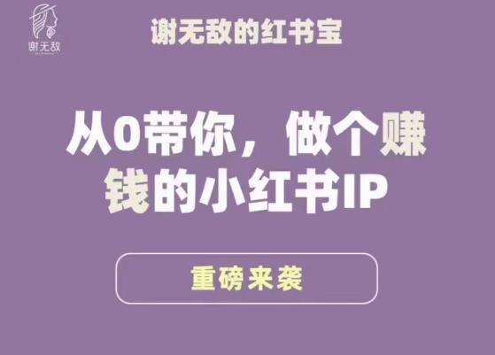 谢无敌·小红书运营大宝典，从0带你做个赚钱的小红书IP-无痕资源库