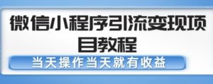 微信小程序引流变现项目教程，当天操作当天就有收益，变现不再是难事-无痕资源库