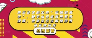 拼多多实战宝典“初级到高手”，新手小白必看拼多多课程，带你全方位解读拼多多各种玩法-无痕资源库