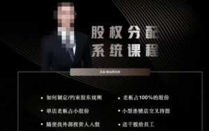 韩老师聊美业-美业股权分配系统课程，如何制定约束股东规则+老板占100%的股份+单店老板占小股份等-无痕资源库