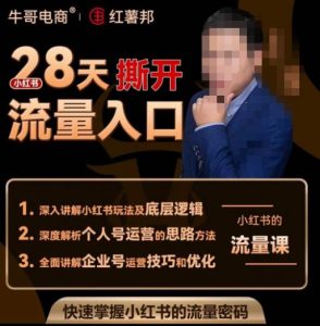 牛哥电商红薯邦28天撕开小红书流量入口，小红书运营系列课，快速掌握小红书的流量密码-无痕资源库