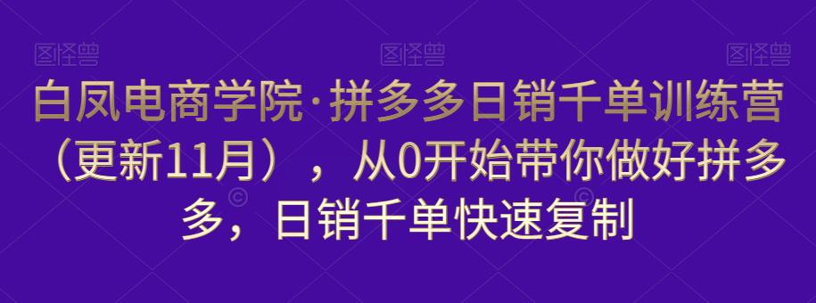 白凤电商学院·拼多多日销千单训练营，从0开始带你做好拼多多，日销千单快速复制（更新知2023年3月）-无痕资源库