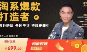 锋投老叶全店动销,淘系干货汇总,各种玩法,淘系爆款打造者-无痕资源库