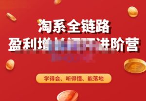 淘系全链路盈利增长闭环进阶营，融合全店动销，学得会、听得懂、能落地！-无痕资源库