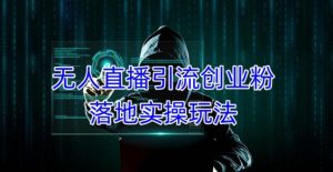 外面收费3980的无人直播引流创业粉落地实操玩法，单日引100+精准创业粉-无痕资源库