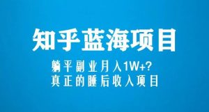 知乎蓝海玩法，躺平副业月入1W+，真正的睡后收入项目（6节视频课）-无痕资源库