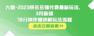 大炮·2023拼多多强付费最新玩法，3月新课​78分钟详细讲解玩法流程-无痕资源库
