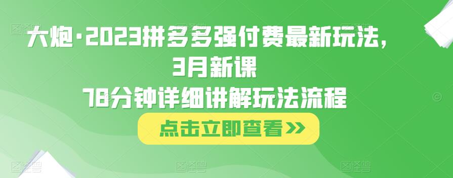 大炮·2023拼多多强付费最新玩法，3月新课​78分钟详细讲解玩法流程-无痕资源库