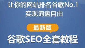 谷歌SEO实战教程：如何让你的网站在谷歌排名第一，内容从入门到高阶，适合个人及团队-无痕资源库