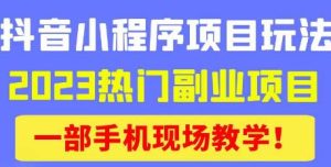 抖音小程序9.0新技巧,2023热门副业项目,动动手指轻松变现-无痕资源库