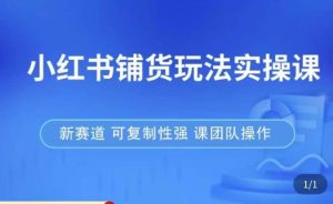 小红书铺货玩法实操课，流量大，竞争小，非常好做，新赛道，可复制性强，可团队操作-无痕资源库
