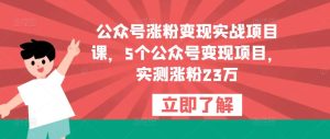 公众号涨粉变现实战项目课，5个公众号变现项目，实测涨粉23万-无痕资源库