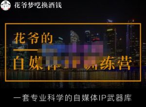 花爷的自媒体IP训练营【14期】,一套专业科学的自媒体IP武器库（更新2023年3月）-无痕资源库