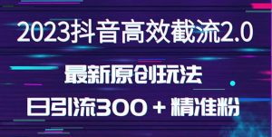 日引300＋创业粉，独家抖音高效截流2.0玩法（价值1280）-无痕资源库
