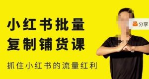 张宾·小红书批量复制铺货课，小红书0-1快速起号变现玩法，抓住小红书的流量红利（更新2023年3月）-无痕资源库