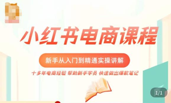 小红书电商新手入门到精通实操课，从入门到精通做爆款笔记，开店运营-无痕资源库