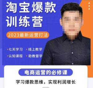 爱上黄昏·淘宝爆款训练营，2023最新运营打法，学习爆款思维，实现利润增长-无痕资源库