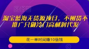 淘宝蓝海无货源项目,不囤货不推广只做冷门高利润代发,花一半时间赚10倍钱-无痕资源库