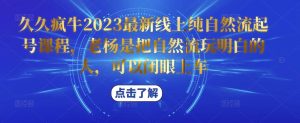 久久疯牛2023最新线上纯自然流起号课程，老杨是把自然流玩明白的人，可以闭眼上车-无痕资源库