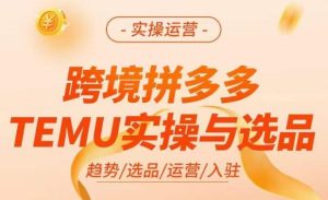 跨境拼多多TEMU实操与选品，​掌握平台运营方法技巧，选品避坑12条标准，爆款的底层思路等-无痕资源库