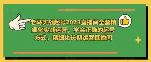 老马实战起号2023直播间全套精细化实战运营，学会正确的起号方式，精细化长期运营直播间-无痕资源库