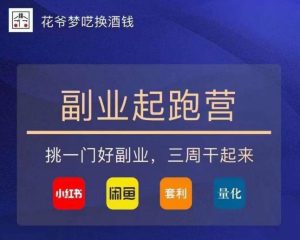 花爷-副业起跑营第2期，挑一门好副业，三周干起来（闲鱼｜小红书｜量化｜套利）-无痕资源库