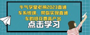 牛气学堂老衲2023直通车系统课，帮你实现直通车的低花费高产出-无痕资源库