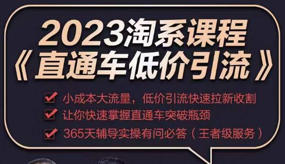 2023直通车低价引流玩法课程，小成本大流量，低价引流快速拉新收割，让你快速掌握直通车突破瓶颈-无痕资源库