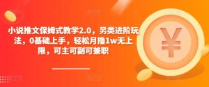 小说推文保姆式教学2.0，另类进阶玩法，0基础上手，轻松月撸1w无上限，可主可副可兼职-无痕资源库